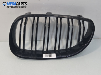 Решетка за BMW 5 Series E60 Sedan E60 (07.2003 - 03.2010), седан, позиция: предна
