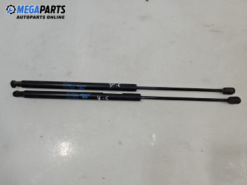 Амортисьор за багажник/товарно пространство за Hyundai Santa Fe I SUV (11.2000 - 03.2006)