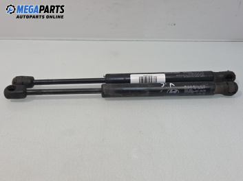 Амортисьор за багажник/товарно пространство за Hyundai Sonata IV Sedan (03.1998 - 12.2005)