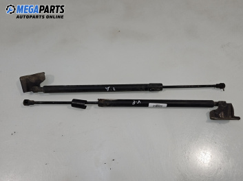 Амортисьор за багажник/товарно пространство за Renault Modus / Grand Modus Minivan (09.2004 - 09.2012)