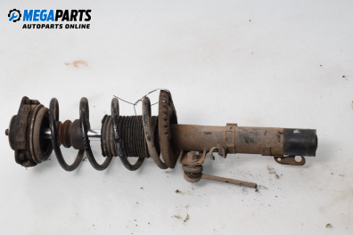 Макферсон за Volkswagen Polo Hatchback IV (10.2001 - 12.2005), хечбек, позиция: предна, лява