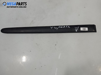 Външна лайсна врата за Peugeot 206 Hatchback (08.1998 - 12.2012), хечбек, позиция: предна, лява