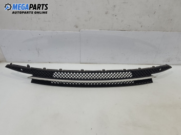 Решетка в броня за BMW 1 Series E87 (11.2003 - 01.2013), хечбек, позиция: предна