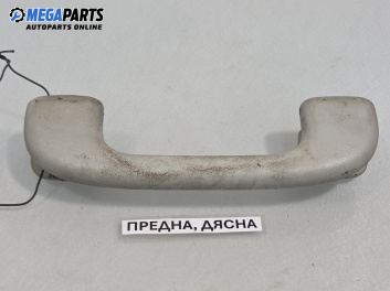 Ръкохватка за таван за Mercedes-Benz M-Class SUV (W163) (02.1998 - 06.2005), позиция: предна, дясна
