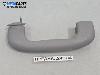 Ръкохватка за таван за Opel Meriva A Minivan (05.2003 - 05.2010), позиция: предна, дясна