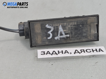 Плафон заден номер за Renault Clio III Hatchback (01.2005 - 12.2012)