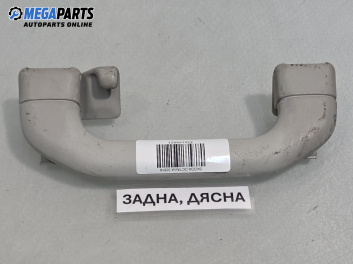 Ръкохватка за таван за Skoda Octavia I Hatchback (09.1996 - 12.2010), позиция: задна, дясна