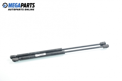 Амортисьор за багажник/товарно пространство за Fiat Punto Hatchback (09.1993 - 09.1999)