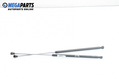 Амортисьор за багажник/товарно пространство за Renault Laguna II Grandtour (03.2001 - 12.2007)