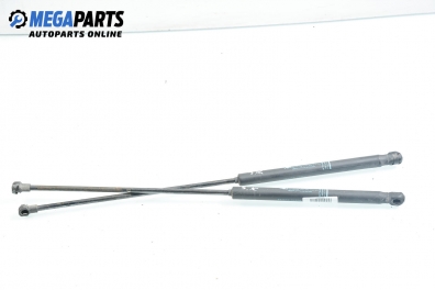 Амортисьор за багажник/товарно пространство за Citroen C4 Hatchback II (11.2004 - 12.2013)