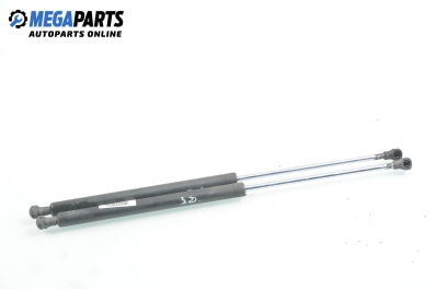 Амортисьор за багажник/товарно пространство за Renault Laguna II Hatchback (03.2001 - 12.2007)