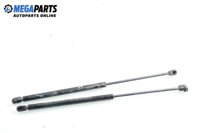 Амортисьор за багажник/товарно пространство за Seat Ibiza III Hatchback (08.1999 - 02.2002)