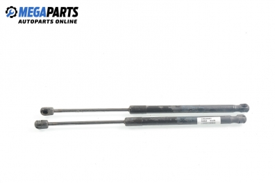 Амортисьор за багажник/товарно пространство за Suzuki Swift III Hatchback (02.2005 - 10.2010)