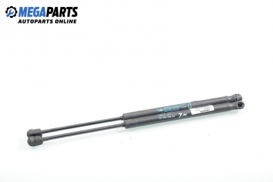 Амортисьор за багажник/товарно пространство за Citroen C3 Hatchback I (02.2002 - 11.2009)