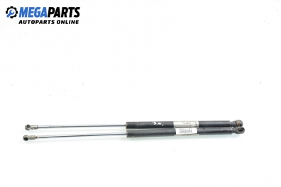 Амортисьор за багажник/товарно пространство за Audi A3 Hatchback I (09.1996 - 05.2003)