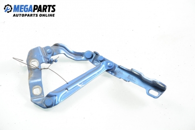 Панта преден капак за Volkswagen New Beetle Coupe (01.1998 - 09.2010), позиция: лява