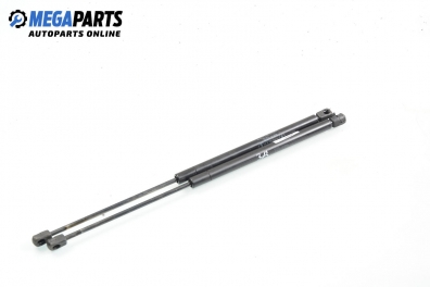 Амортисьор за багажник/товарно пространство за Mercedes-Benz A-Class Hatchback  (W168) (07.1997 - 08.2004)