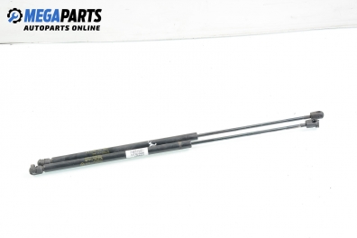 Амортисьор за багажник/товарно пространство за Mercedes-Benz M-Class SUV (W163) (02.1998 - 06.2005)