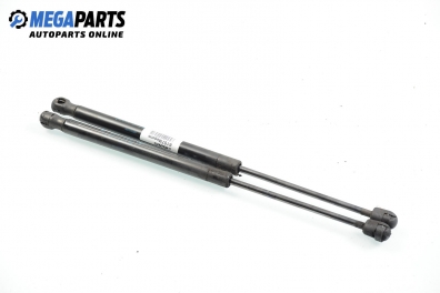 Амортисьор за багажник/товарно пространство за Renault Megane II Hatchback (07.2001 - 10.2012)