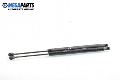 Амортисьор за багажник/товарно пространство за Renault Scenic II Minivan (06.2003 - 07.2010)