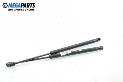 Амортисьор за багажник/товарно пространство за Hyundai Santa Fe I SUV (11.2000 - 03.2006)