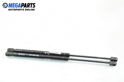 Амортисьор за багажник/товарно пространство за Citroen C3 Hatchback I (02.2002 - 11.2009)