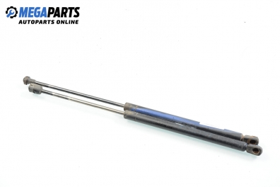 Амортисьор за багажник/товарно пространство за Audi A3 Hatchback I (09.1996 - 05.2003)