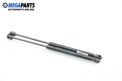 Амортисьор за багажник/товарно пространство за Renault Clio II Hatchback (09.1998 - 09.2005)