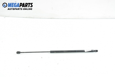 Амортисьор за багажник/товарно пространство за Renault Scenic I Minivan (09.1999 - 07.2010)