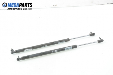 Амортисьор за багажник/товарно пространство за Chrysler PT Cruiser Hatchback (06.2000 - 12.2010)