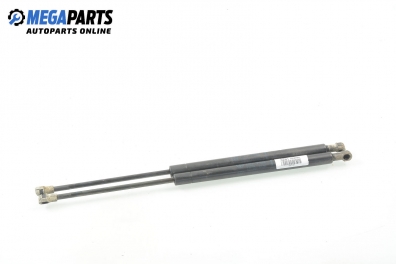 Амортисьор за багажник/товарно пространство за Renault Megane Scenic (10.1996 - 12.2001)