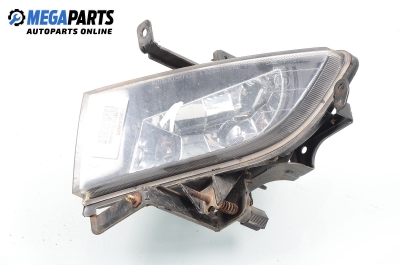 Халоген за Hyundai Sonata V Sedan (01.2005 - 12.2010), позиция: лява