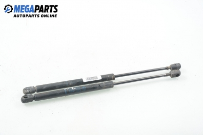 Амортисьор за багажник/товарно пространство за Renault Clio II Hatchback (09.1998 - 09.2005)