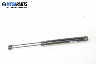 Амортисьор за багажник/товарно пространство за Ford Fusion Hatchback (08.2002 - 12.2012)