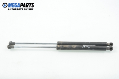 Амортисьор за багажник/товарно пространство за Renault Clio II Hatchback (09.1998 - 09.2005)