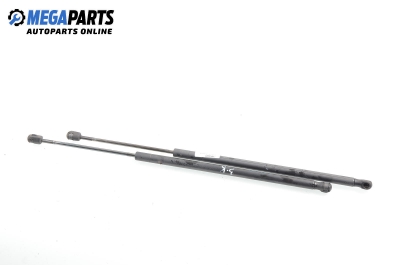 Амортисьор за багажник/товарно пространство за Ford Fiesta V Hatchback (11.2001 - 03.2010)