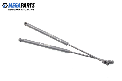 Амортисьор за багажник/товарно пространство за Fiat Punto Hatchback II (09.1999 - 07.2012)