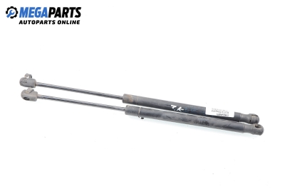 Амортисьор за багажник/товарно пространство за Renault Megane II Hatchback (07.2001 - 10.2012)