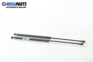 Амортисьор за багажник/товарно пространство за Fiat Palio Weekend (04.1996 - 04.2012)