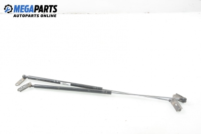 Амортисьор за багажник/товарно пространство за Toyota Corolla Station Wagon III (04.1997 - 10.2001)