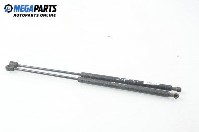 Амортисьор за багажник/товарно пространство за Hyundai Santa Fe I SUV (11.2000 - 03.2006)