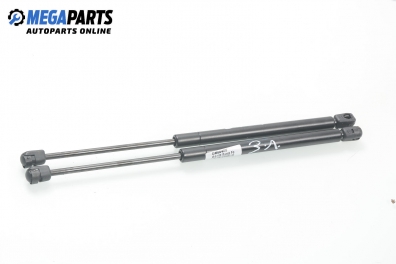 Амортисьор за багажник/товарно пространство за Hyundai Santa Fe I SUV (11.2000 - 03.2006)