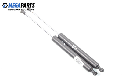 Амортисьор за багажник/товарно пространство за Renault Vel Satis Hatchback (06.2002 - 07.2009)