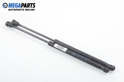 Амортисьор за багажник/товарно пространство за Renault Megane II Hatchback (07.2001 - 10.2012)