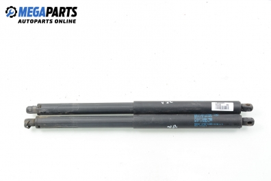 Амортисьор за багажник/товарно пространство за BMW X5 Series E70 (02.2006 - 06.2013)