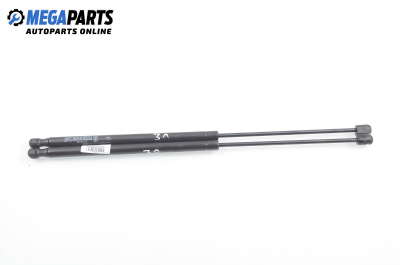 Амортисьор за багажник/товарно пространство за Renault Megane Scenic (10.1996 - 12.2001)