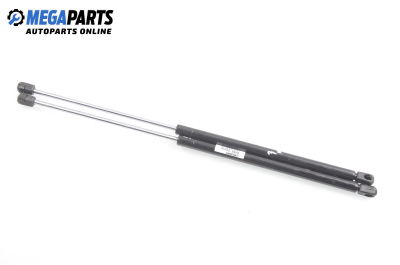 Амортисьор за багажник/товарно пространство за Renault Scenic I Minivan (09.1999 - 07.2010)