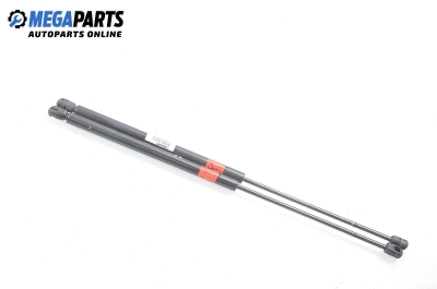 Амортисьор за багажник/товарно пространство за Renault Megane Scenic (10.1996 - 12.2001)