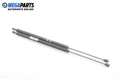 Амортисьор за багажник/товарно пространство за Renault Laguna I Hatchback (11.1993 - 08.2002)