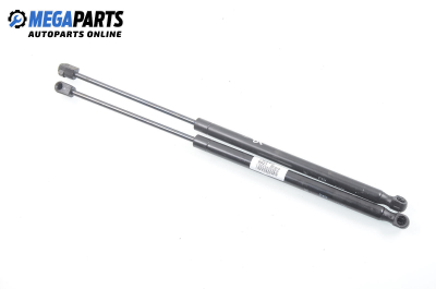 Амортисьор за багажник/товарно пространство за Fiat Brava Hatchback (10.1995 - 06.2003)